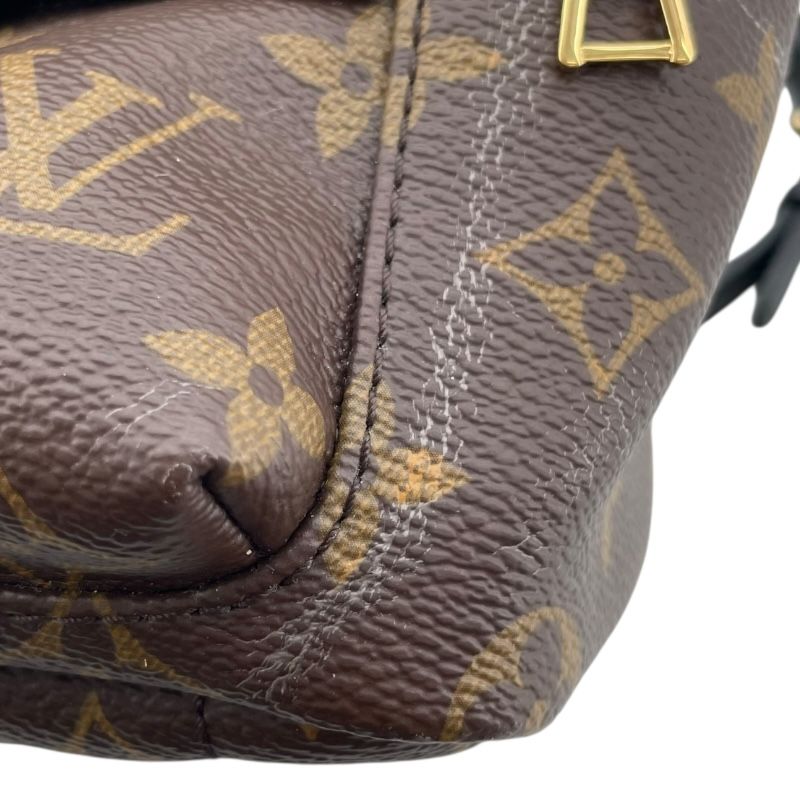 Louis Vuitton Palm Springs Mini Backpack - Monogram Brown