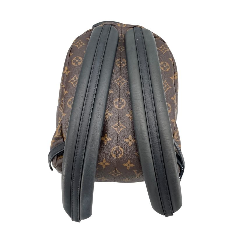 Louis Vuitton Palm Springs PM Backpack - Monogram Canvas - Brown