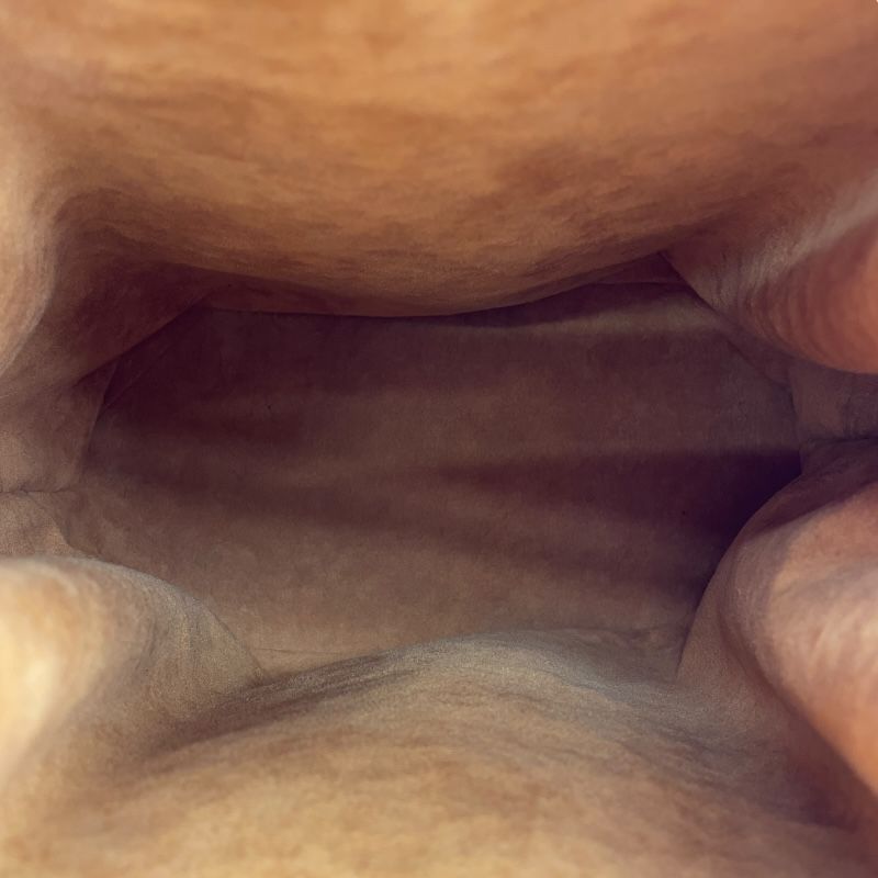 Louis Vuitton Sac De Paul M80203 in Kenya Brown Epi Leather