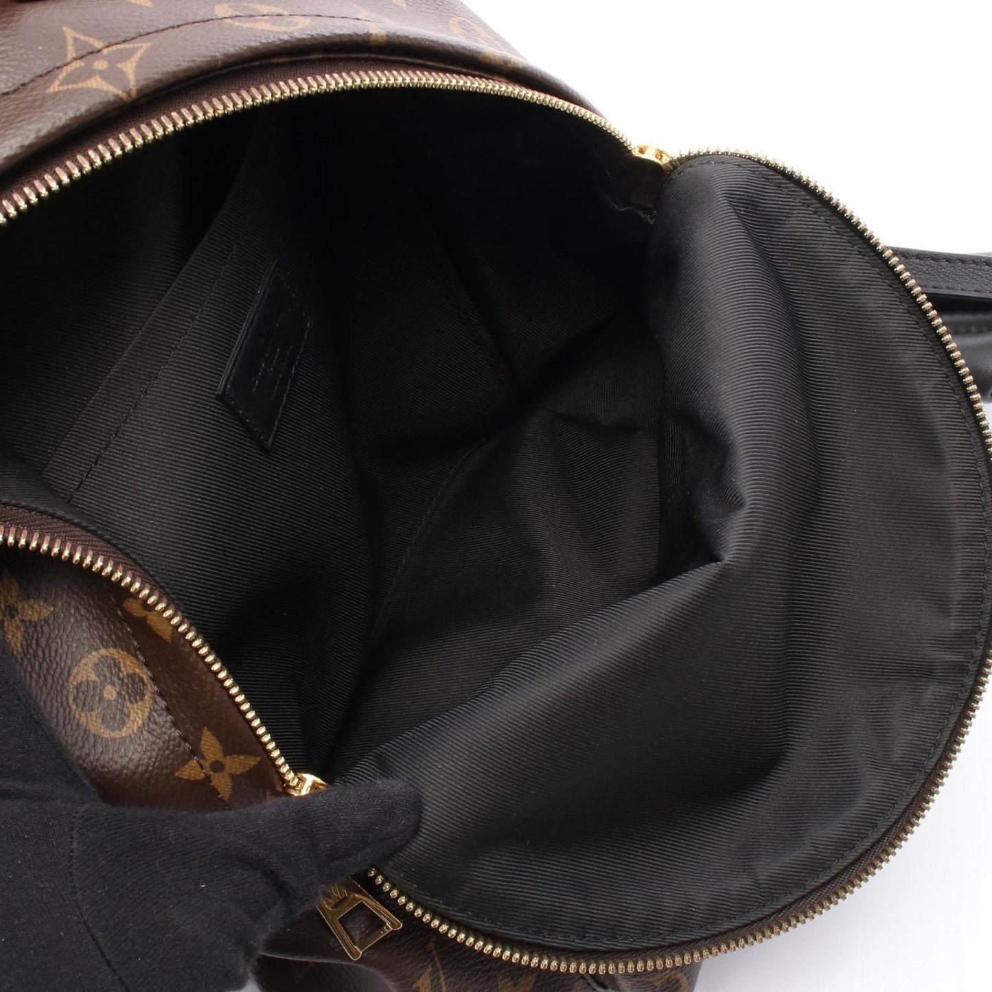 Louis Vuitton Palm Springs PM Backpack - Monogram Canvas