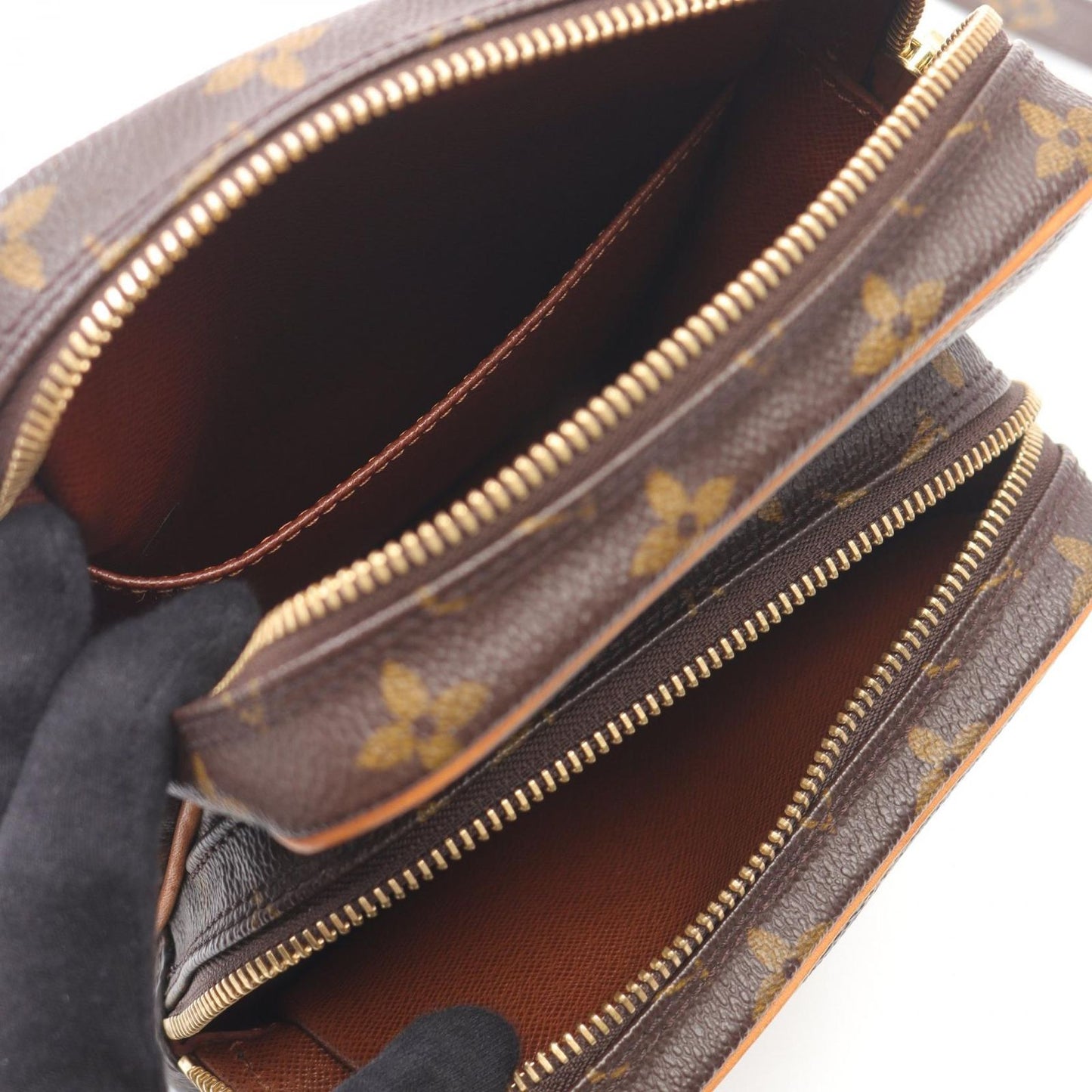 Louis Vuitton Monogram Amazon Shoulder Bag - Timeless Elegance