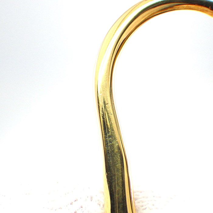 Tiffany & Co. Apple Large Long Necklace in K18 Yellow Gold