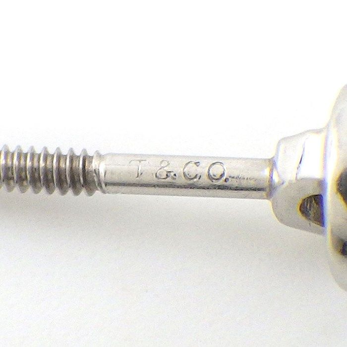 Tiffany & Co. By The Yard Diamond Earrings in Platinum - 0.07ct