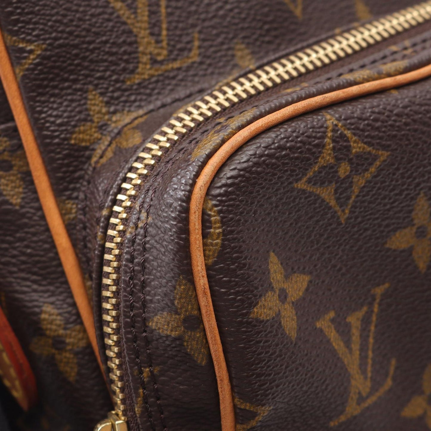Louis Vuitton Monogram Amazon Shoulder Bag - Timeless Elegance