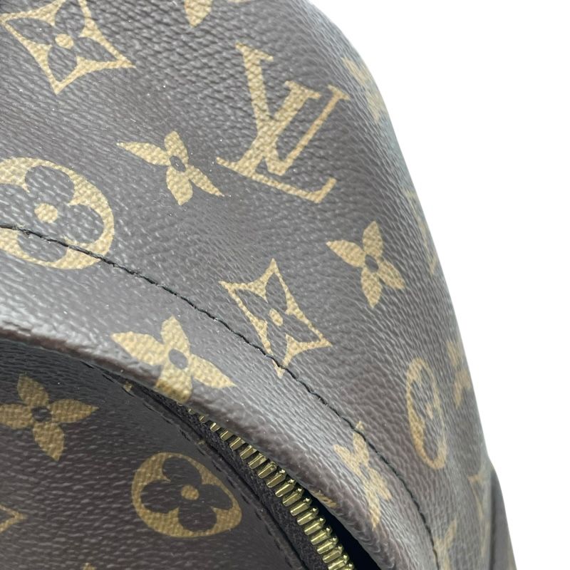 Louis Vuitton Palm Springs PM Backpack - Monogram Canvas - Brown