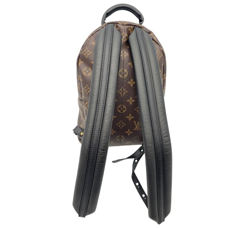 Louis Vuitton Palm Springs PM Backpack - Monogram Canvas - Brown