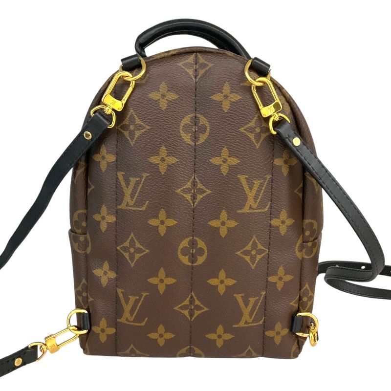Louis Vuitton Palm Springs Mini Backpack - Exquisite PVC Craftsmanship