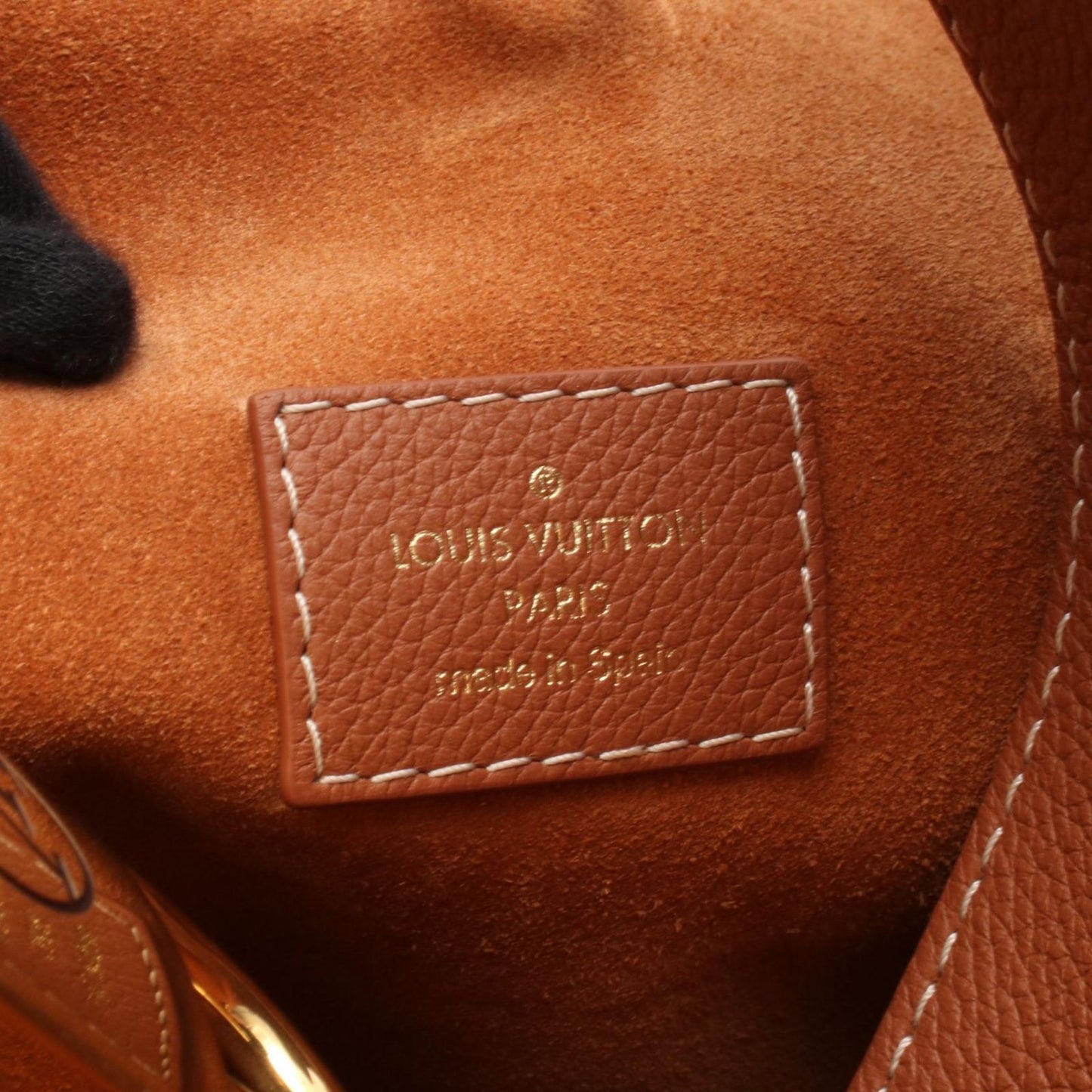 Louis Vuitton Rucky Hobo PM Shoulder Bag in Cognac Leather