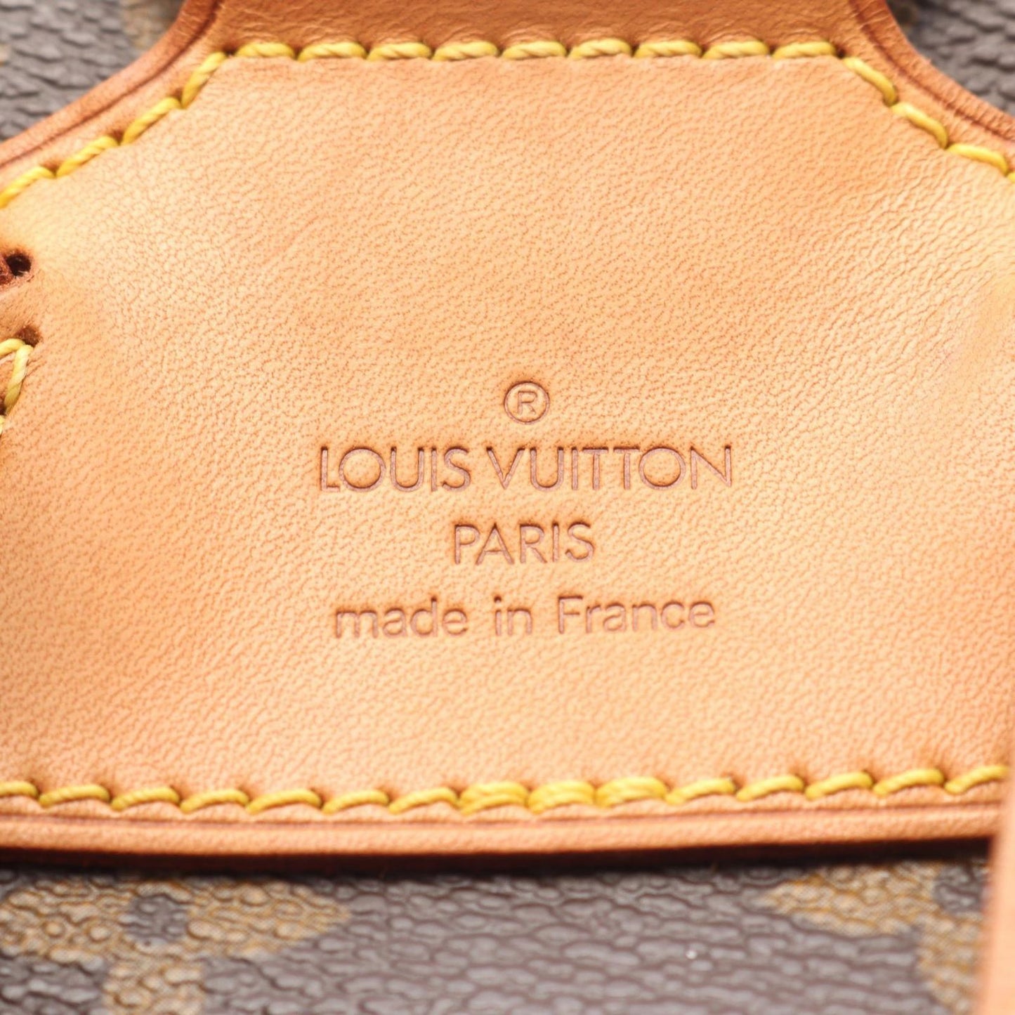 Louis Vuitton Monogram Montsouris MM Backpack - Timeless Elegance