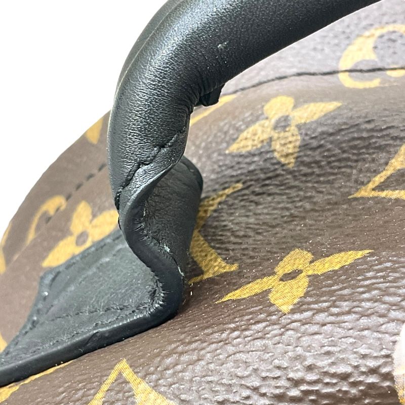Louis Vuitton Palm Springs PM Backpack - Monogram Canvas, Brown