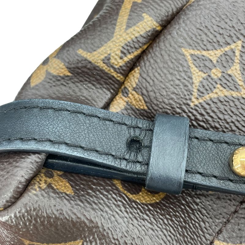 Louis Vuitton Palm Springs PM Backpack - Monogram Canvas - Brown