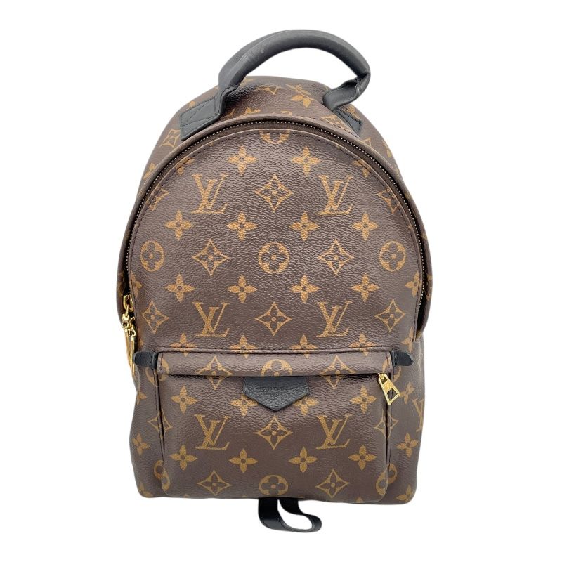 Louis Vuitton Palm Springs PM Backpack - Monogram Canvas - Brown
