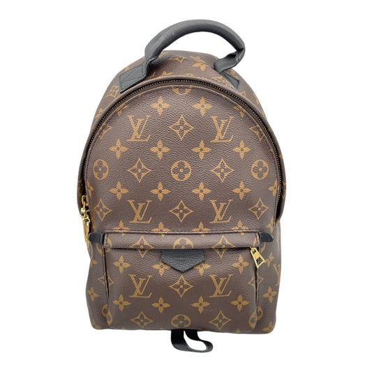 Louis Vuitton Palm Springs PM Backpack - Monogram Canvas - Brown