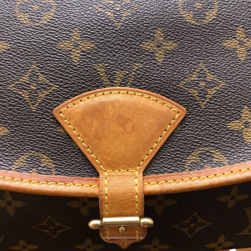 Louis Vuitton Monogram Salony Shoulder Bag - Timeless Elegance