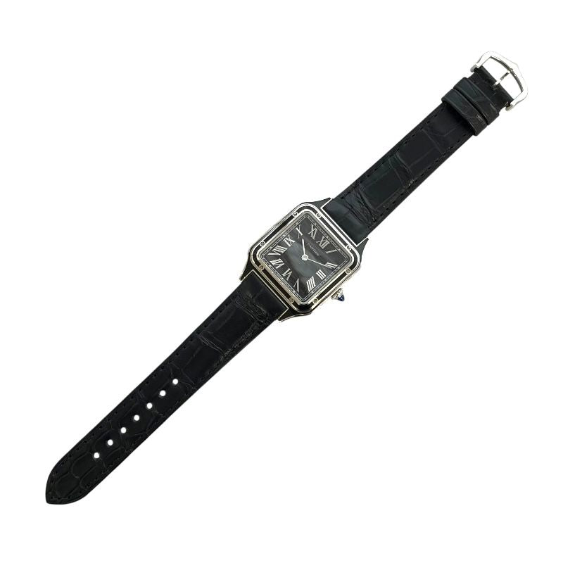 Cartier Santos-Dumont LM WSSA0046 Black SS/Leather Manual Watch
