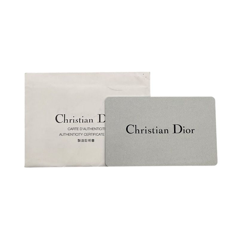 Christian Dior Trotteur Double Saddle Bag in Brown Jacquard