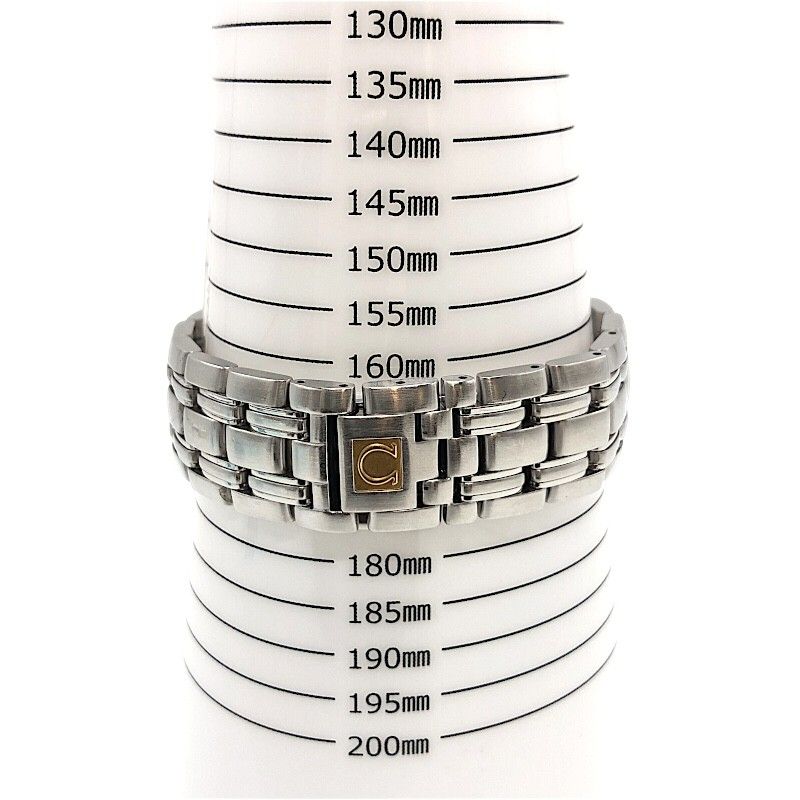 OMEGA Seamaster 120M 2511.31 Silver Automatic Men's Watch