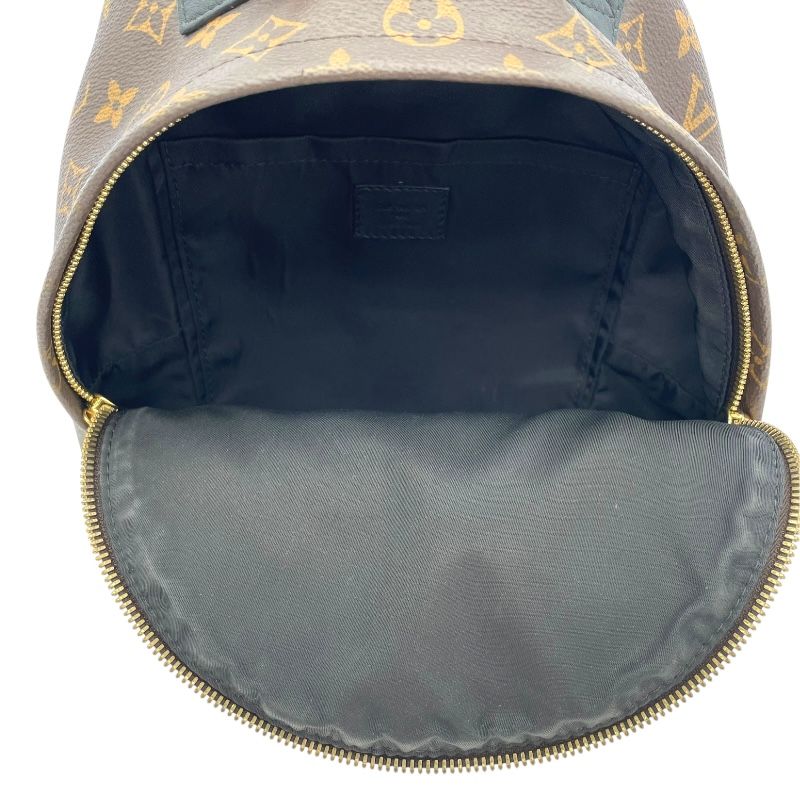 Louis Vuitton Palm Springs PM Backpack - Monogram Brown