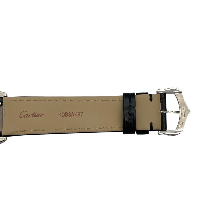 Cartier Santos-Dumont LM WSSA0046 Black SS/Leather Manual Watch