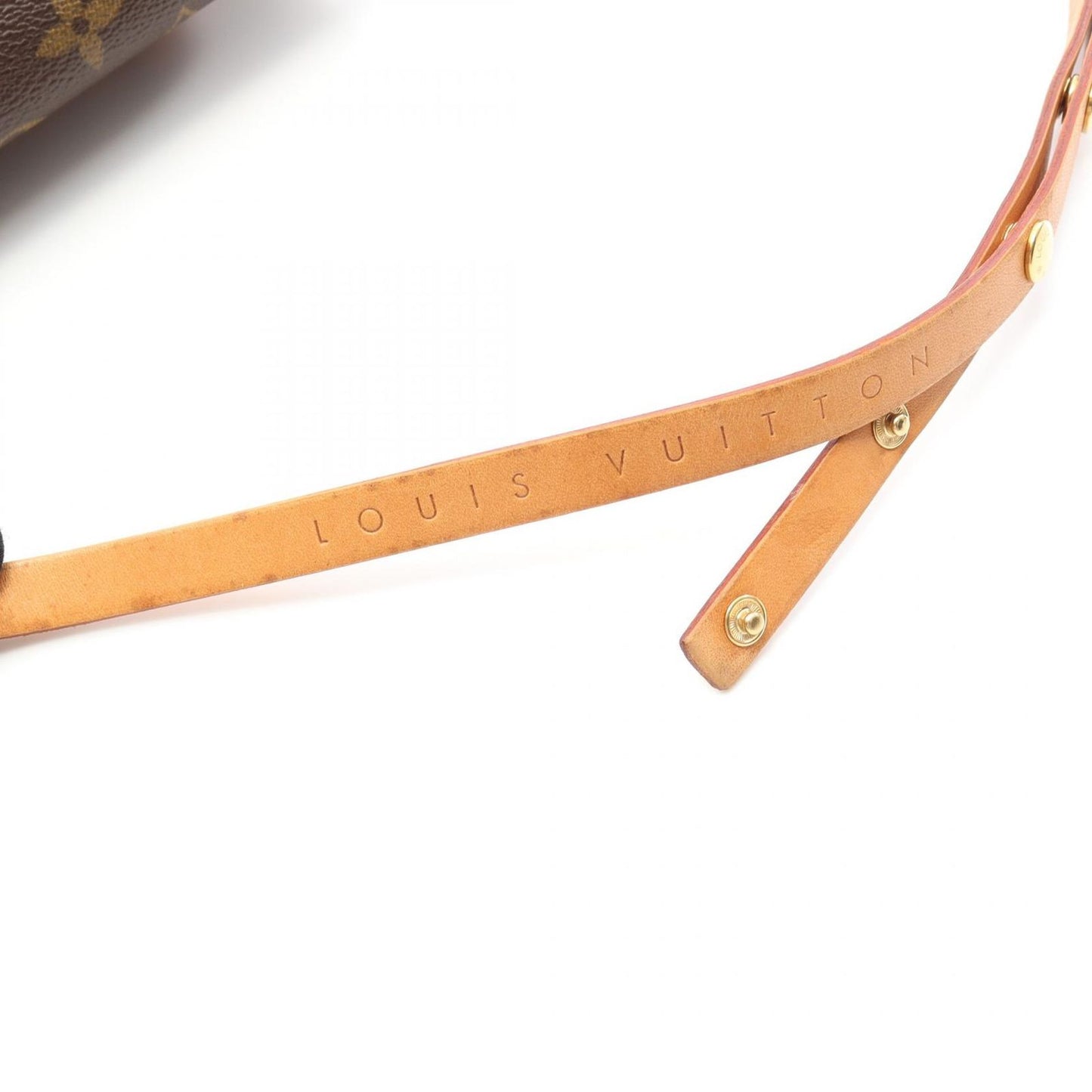 Louis Vuitton Monogram Florentine Waist Bag - Timeless Elegance