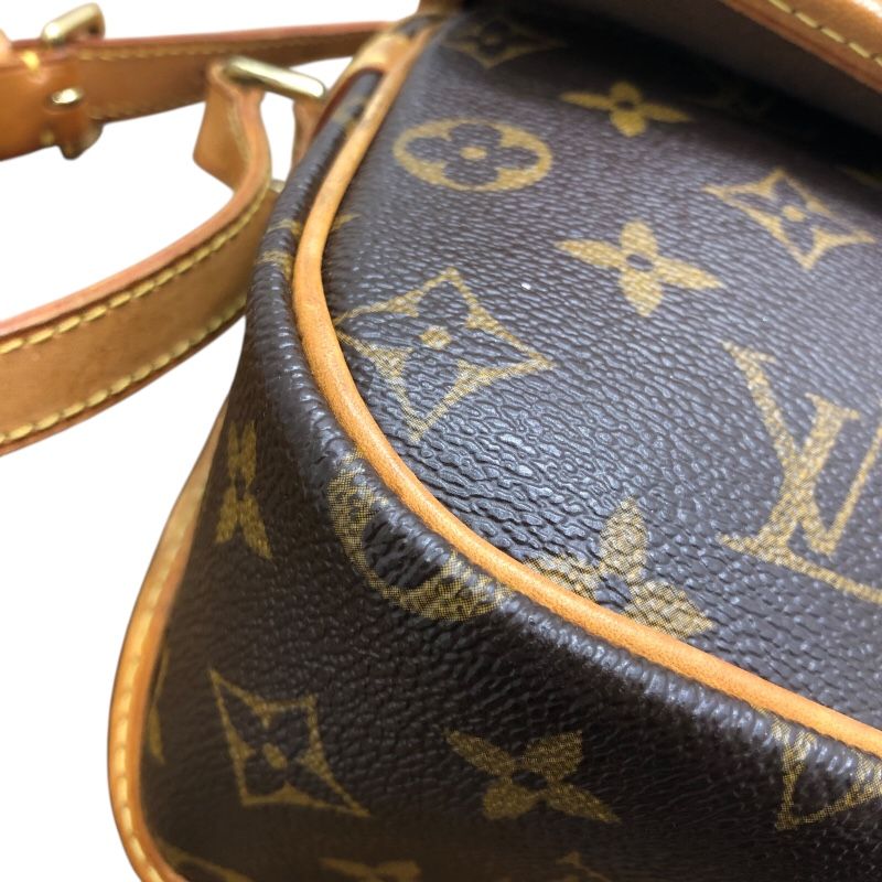 Louis Vuitton Monogram Salony Shoulder Bag - Timeless Elegance
