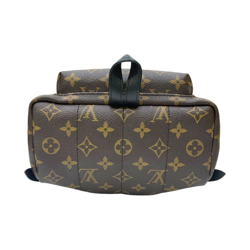 Louis Vuitton Palm Springs PM Backpack - Monogram Canvas, Brown