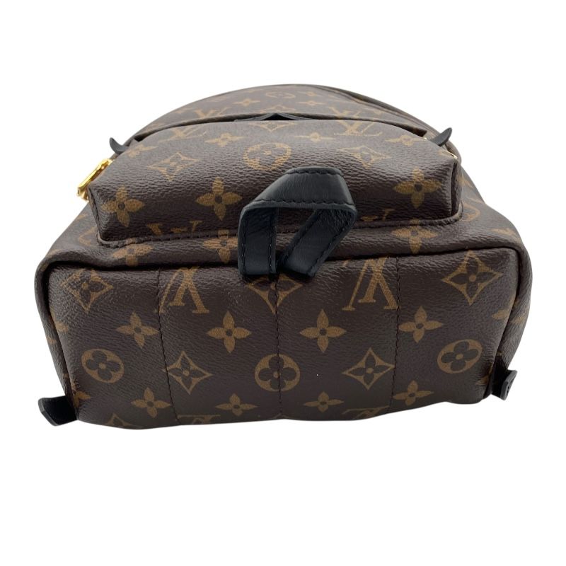 Louis Vuitton Palm Springs PM Backpack - Monogram Canvas - Brown
