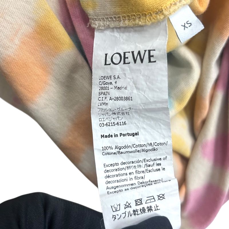 LOEWE La Pausa Asymmetrical T-Shirt in Multicolor Cotton