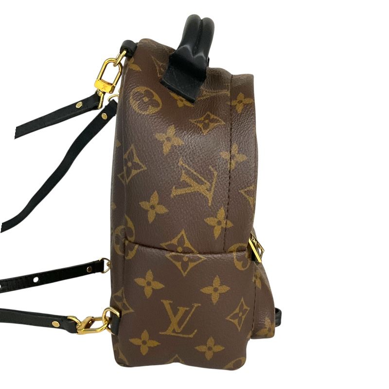 Louis Vuitton Palm Springs Mini Backpack - Exquisite PVC Craftsmanship