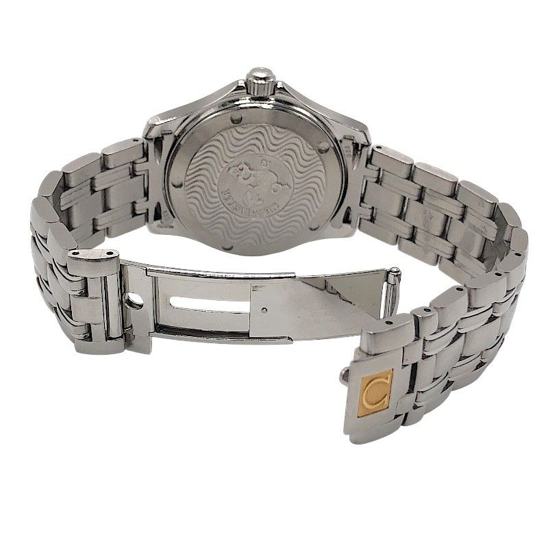 OMEGA Seamaster 120M 2511.31 Silver Automatic Men's Watch