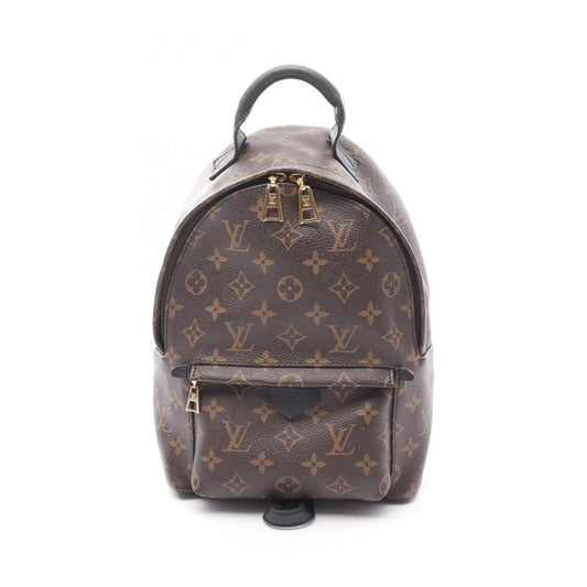 Louis Vuitton Palm Springs PM Backpack - Monogram Canvas